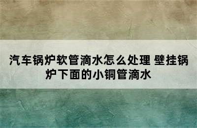 汽车锅炉软管滴水怎么处理 壁挂锅炉下面的小铜管滴水